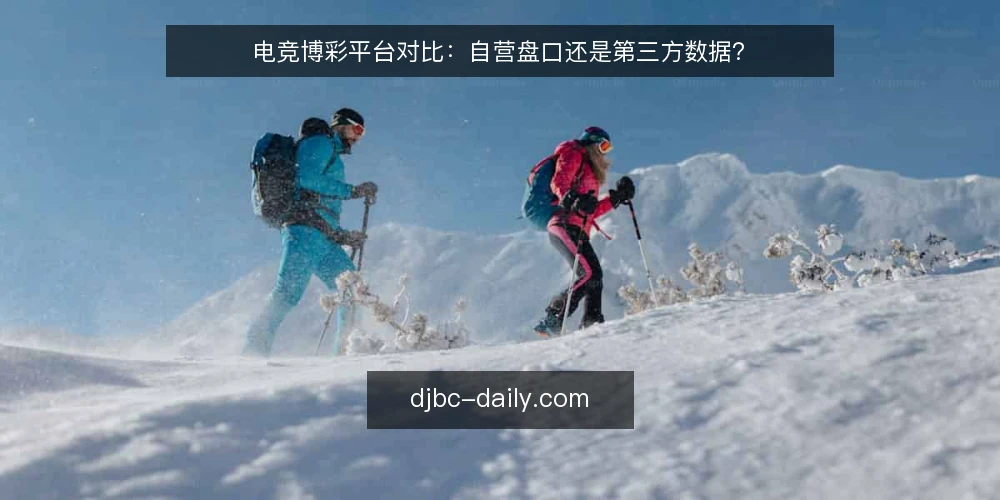 电竞博彩平台对比：自营盘口还是第三方数据？ — 为什么现在要审计盘口来源 配图